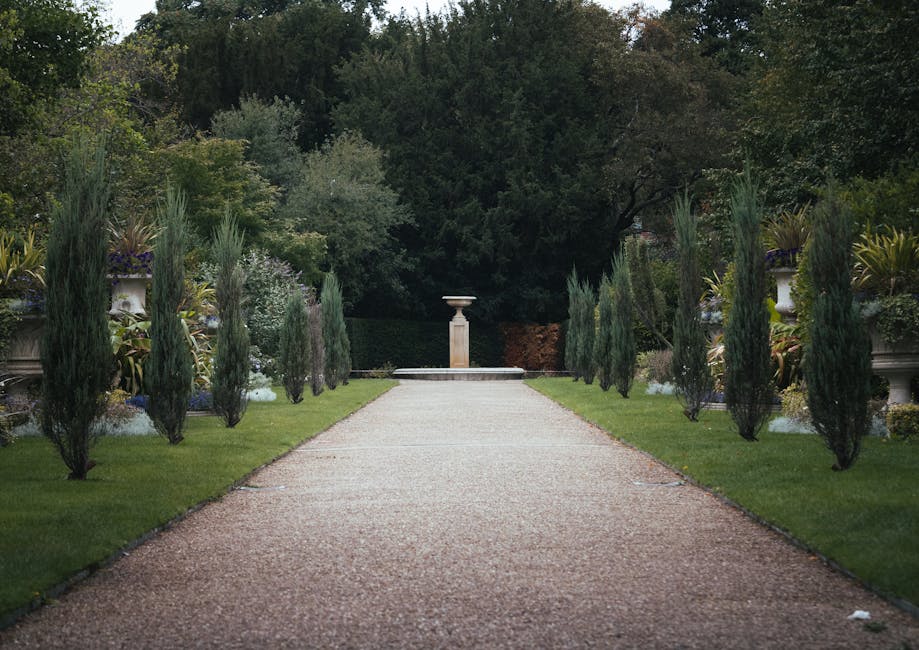 A gardener, wearing a dark long-sleeved shirt and a grey cap, is trimming a dense, neatly shaped hedge with large pruning shears. The hedge, composed of small green leaves, forms a tidy boundary in a 